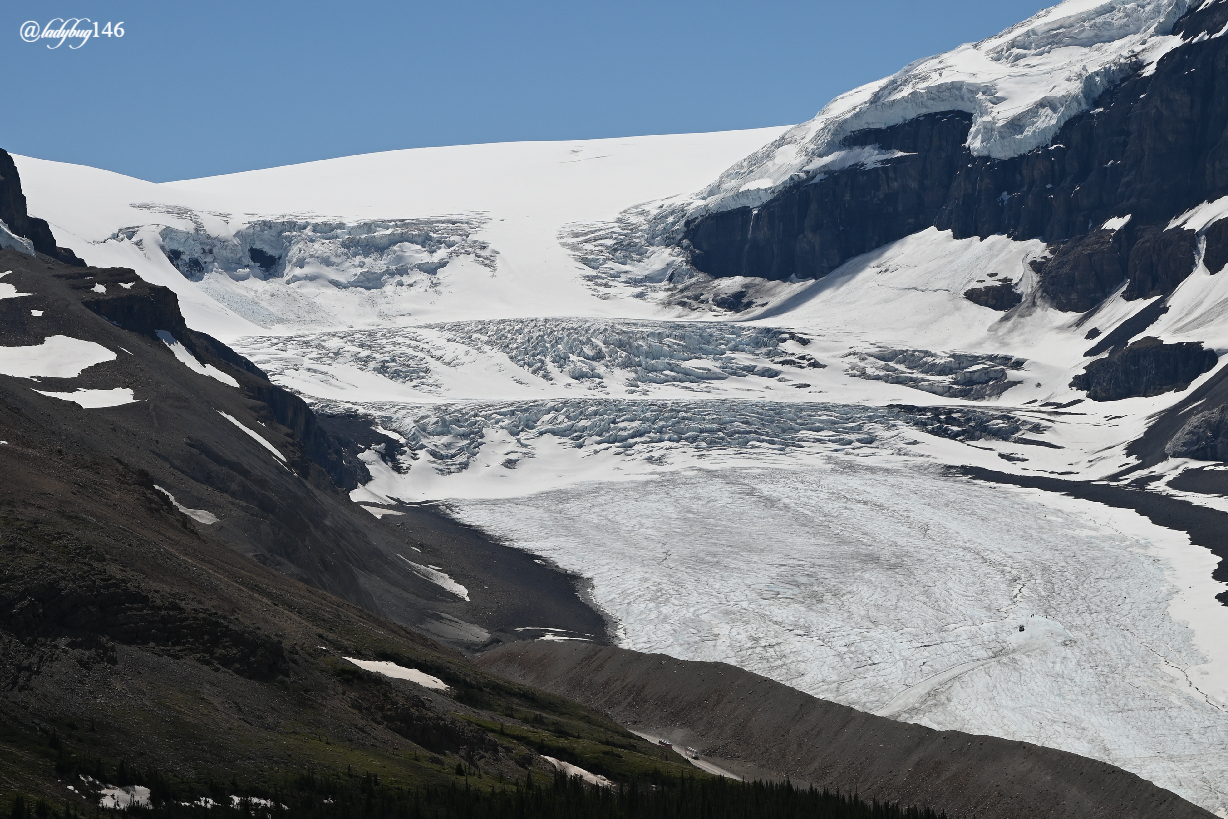 wilcox pass (22).jpg