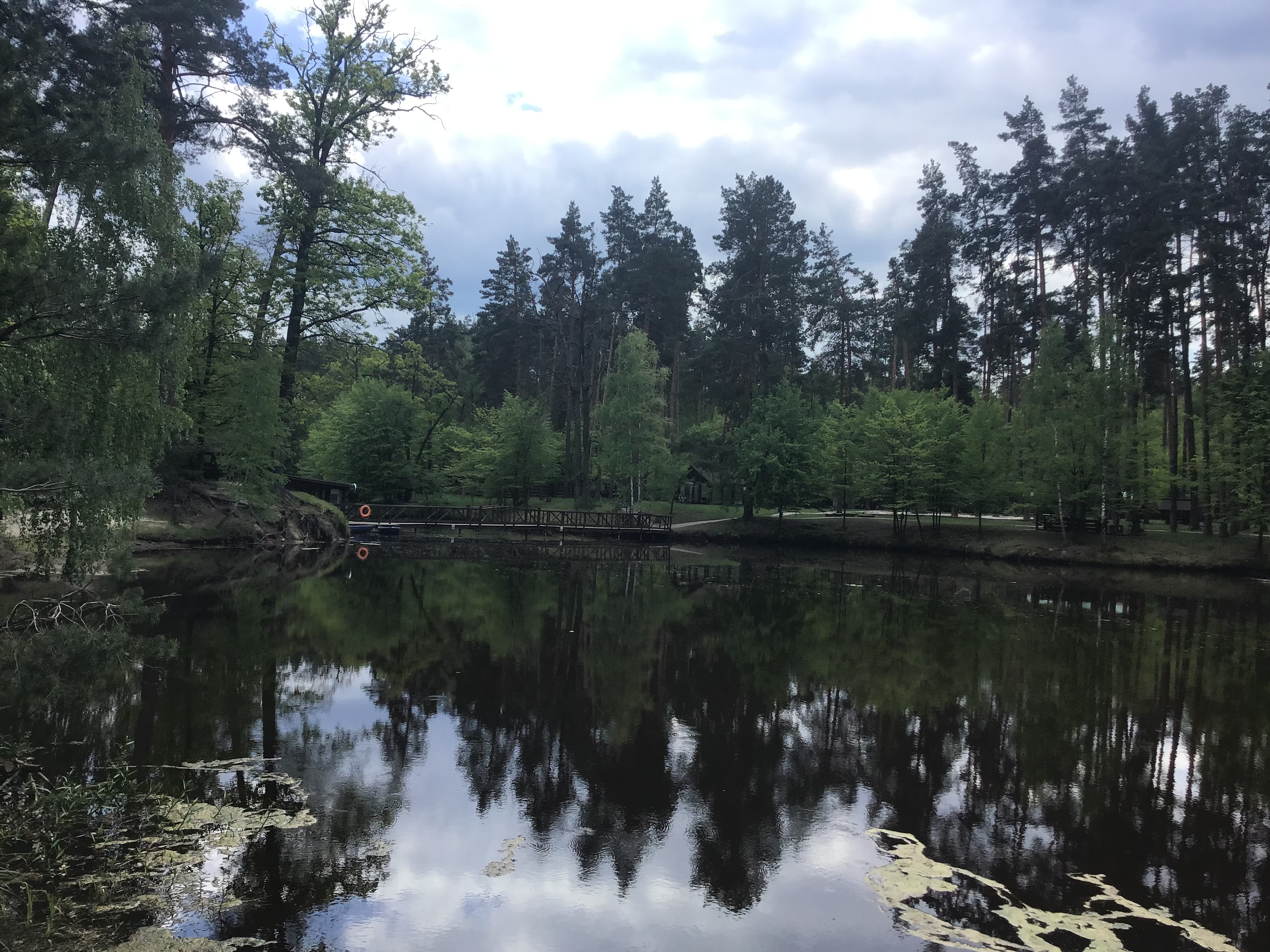 IMG_6491.jpeg