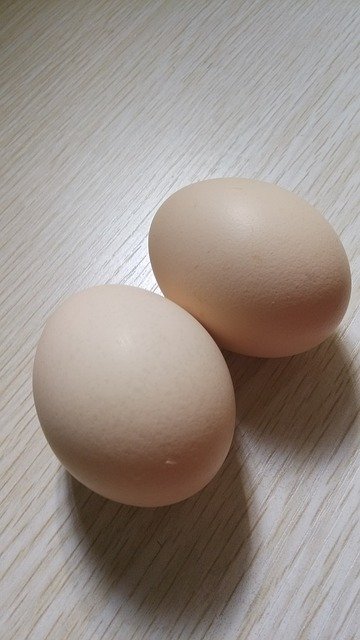 egg-1525355_640.jpg