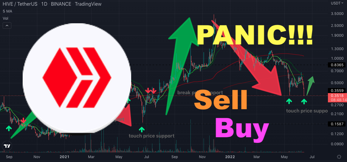 @criptoar/hve-panic-sell-or-buy-don-t-panic-sell-buy-or-hold-your-hives-i-ll-explain-why