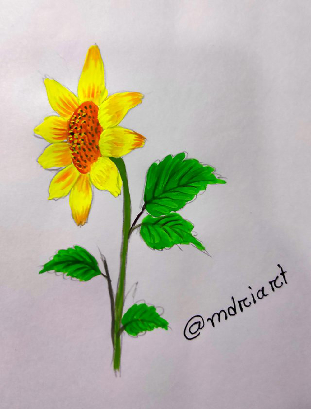 Scarlet ✍🏻 on Instagram: “🌻 sunflower coloured pencil drawing • •  Materials used: @seawhiteofbrighton… | Sunflower drawing, Prismacolor  drawing, Sunflower colors