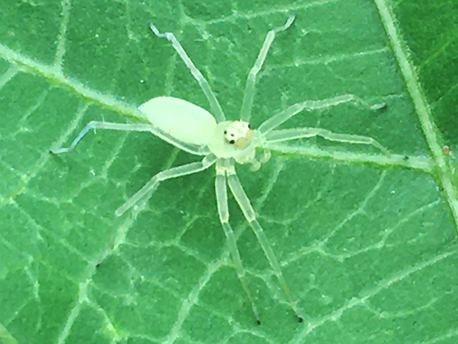 IMG_5661a.png