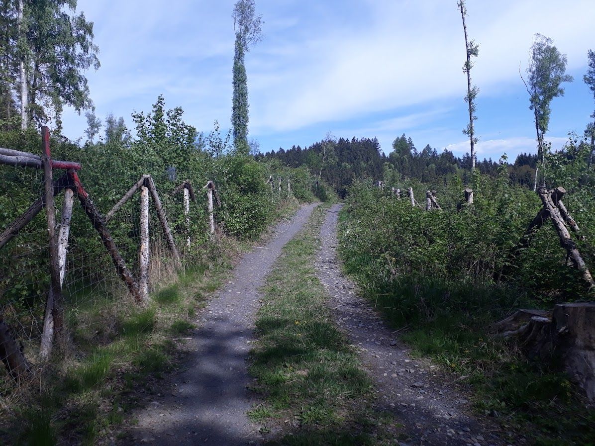 footer_image_14396464669.png
