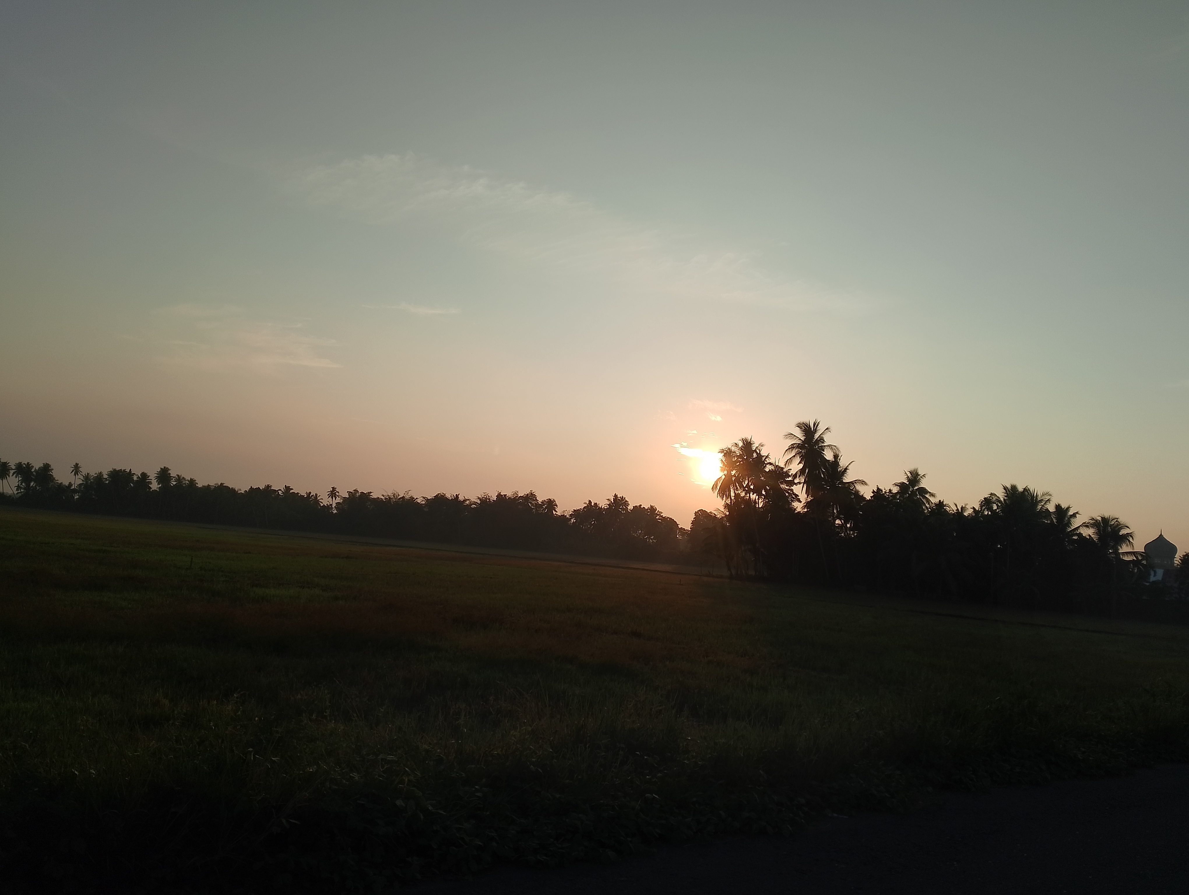 IMG_20250630_064845.jpg
