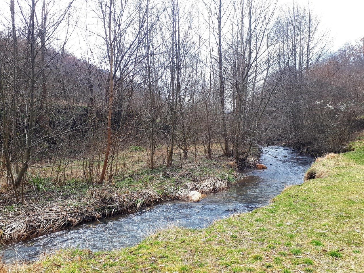 20230309_213917.jpg