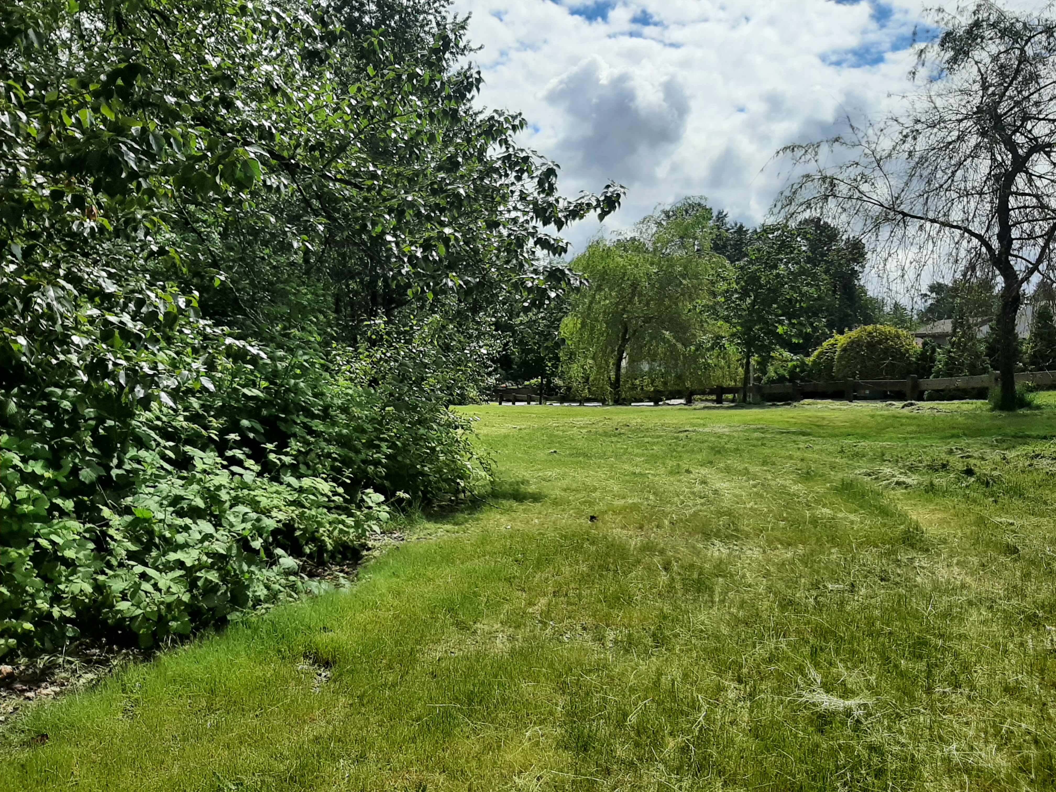 20220610_111625.jpg