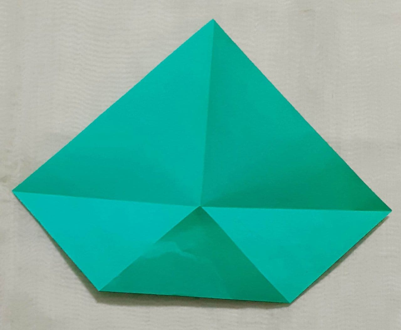 1000075216.jpg