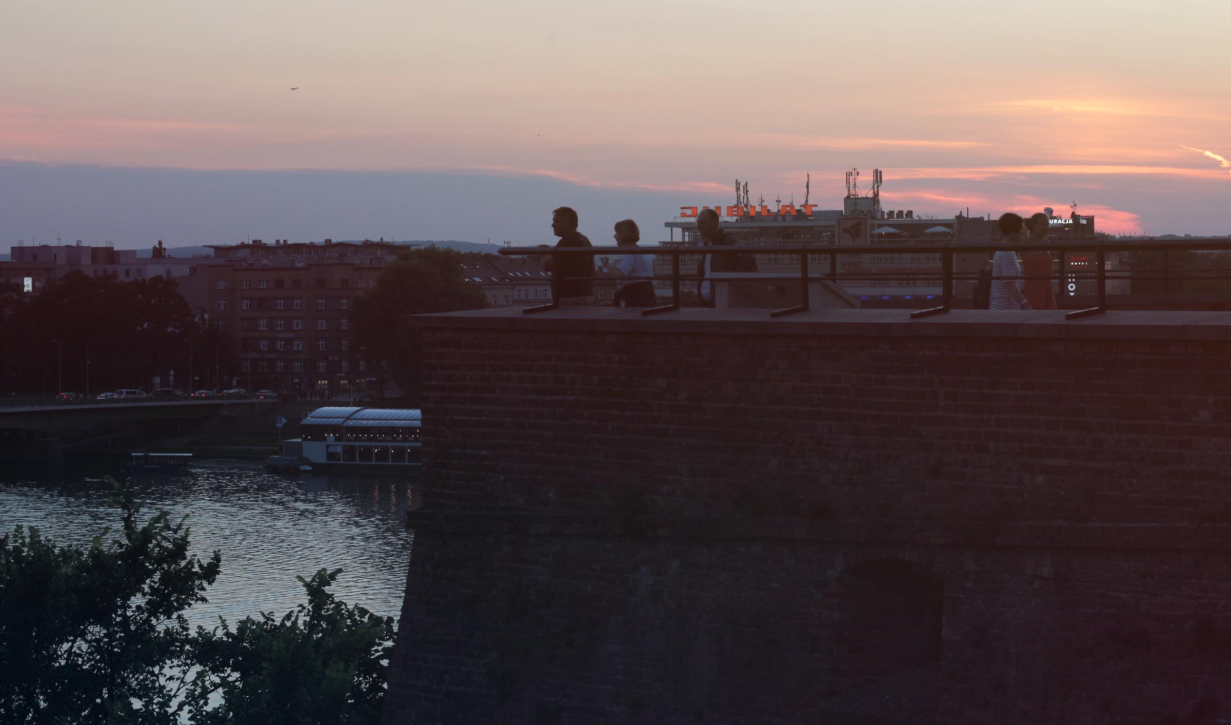 IMG_7428-crop.JPG