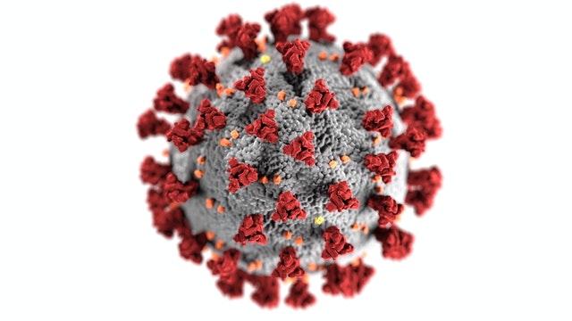 coronavirus-3992933 (1).jpg