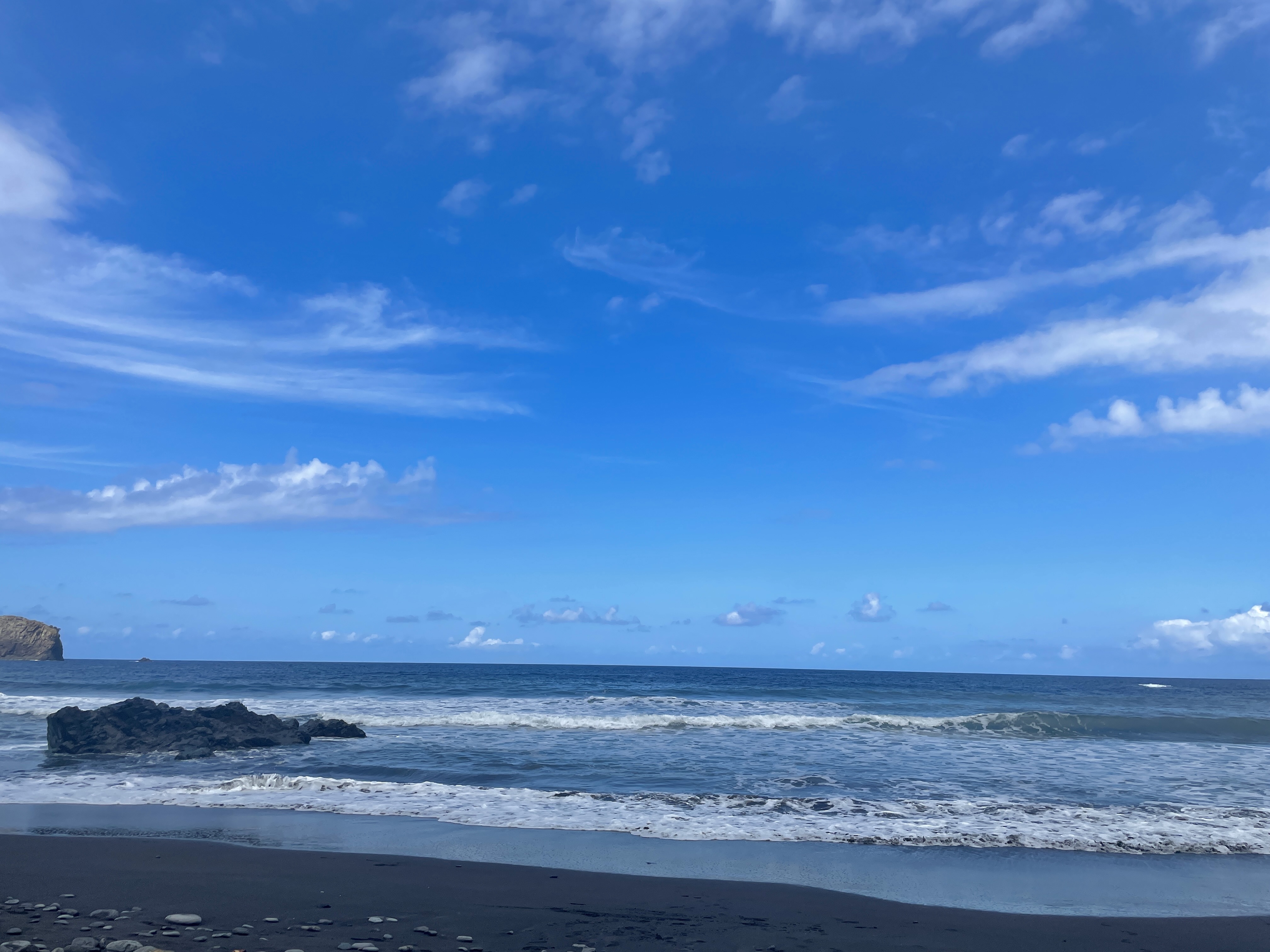 A931C5BB-0064-4858-AC2F-531FC756F4F4.jpeg