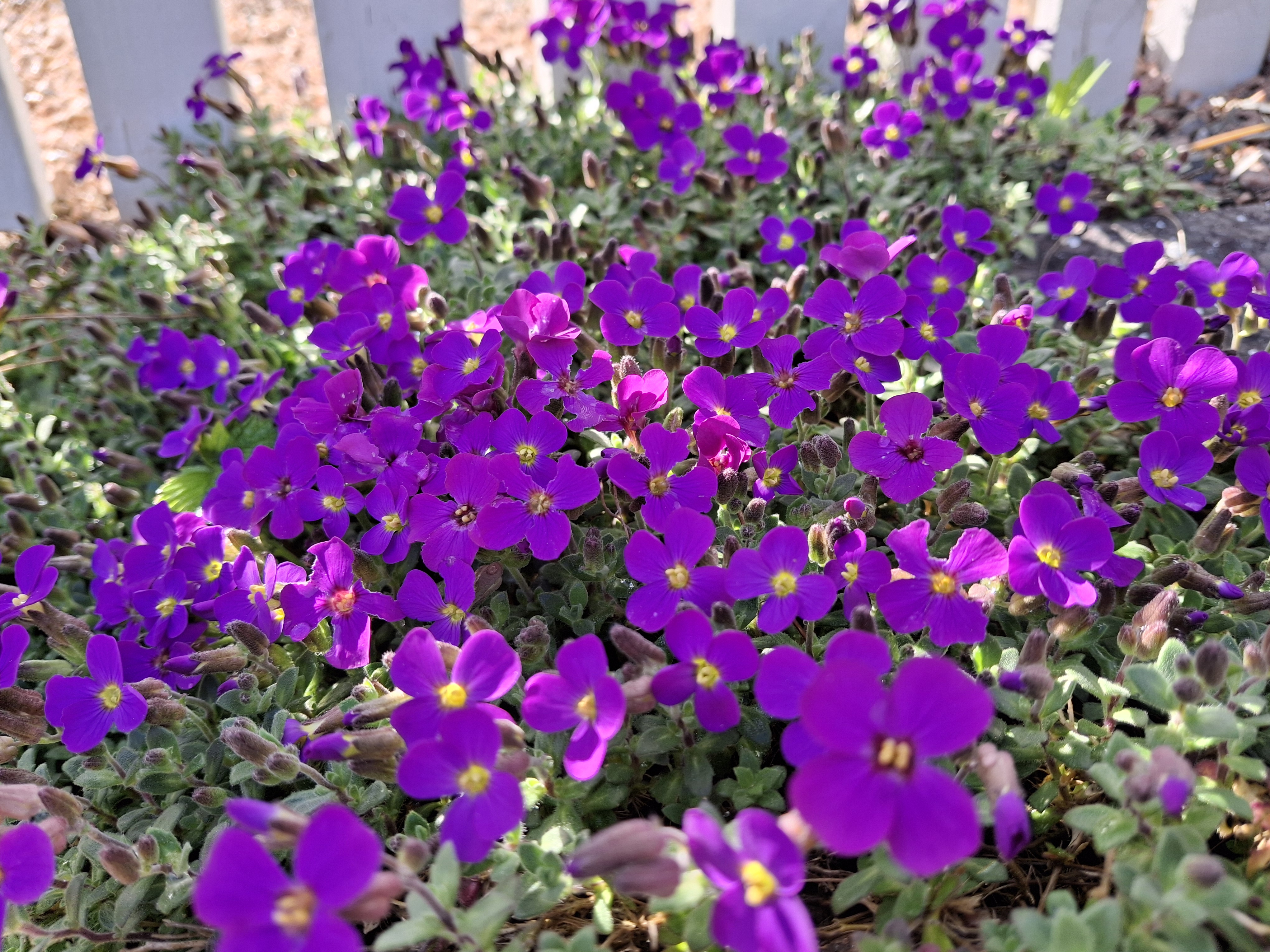 20240509_171945.jpg