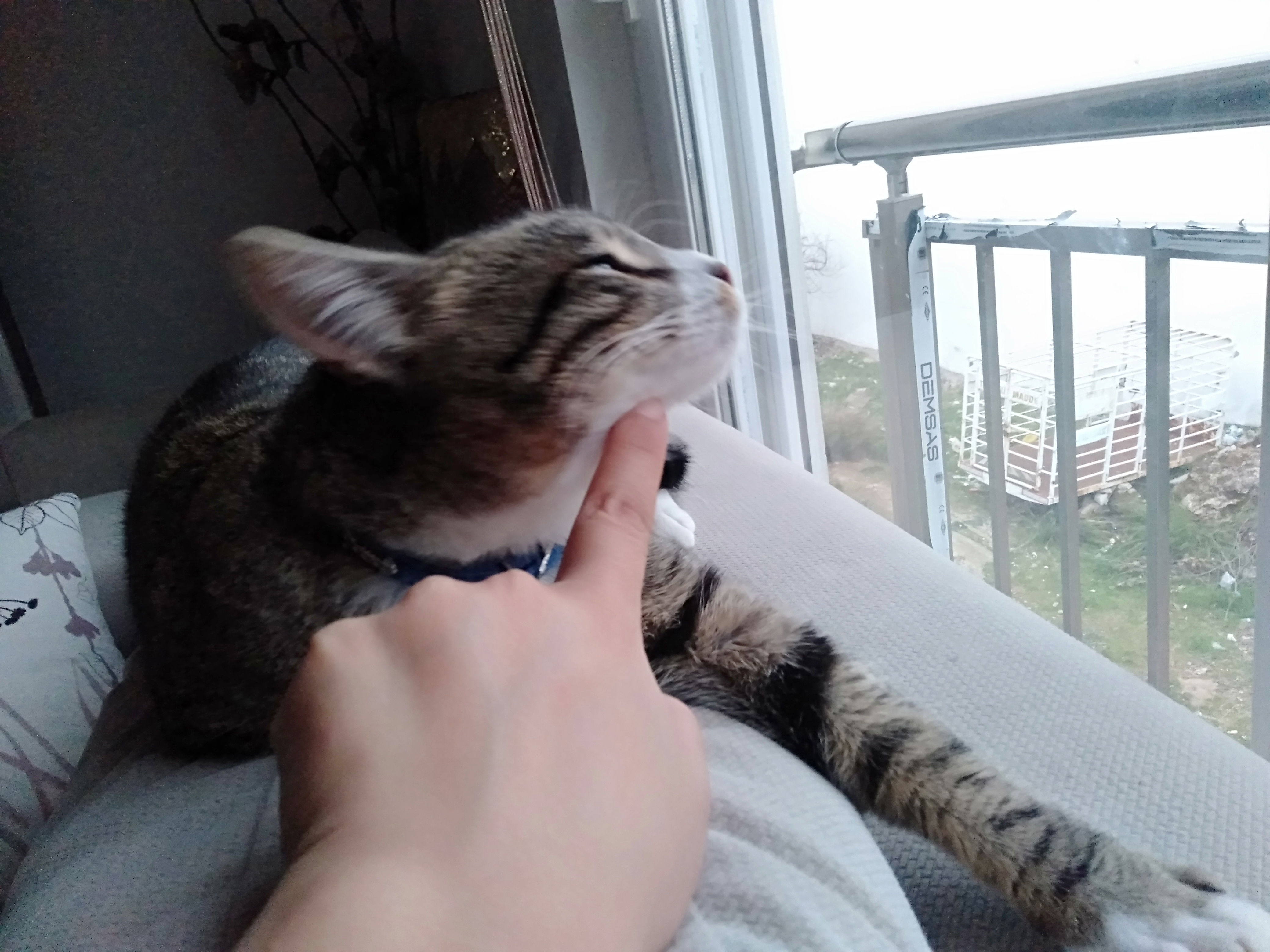 IMG20220227183515.jpg