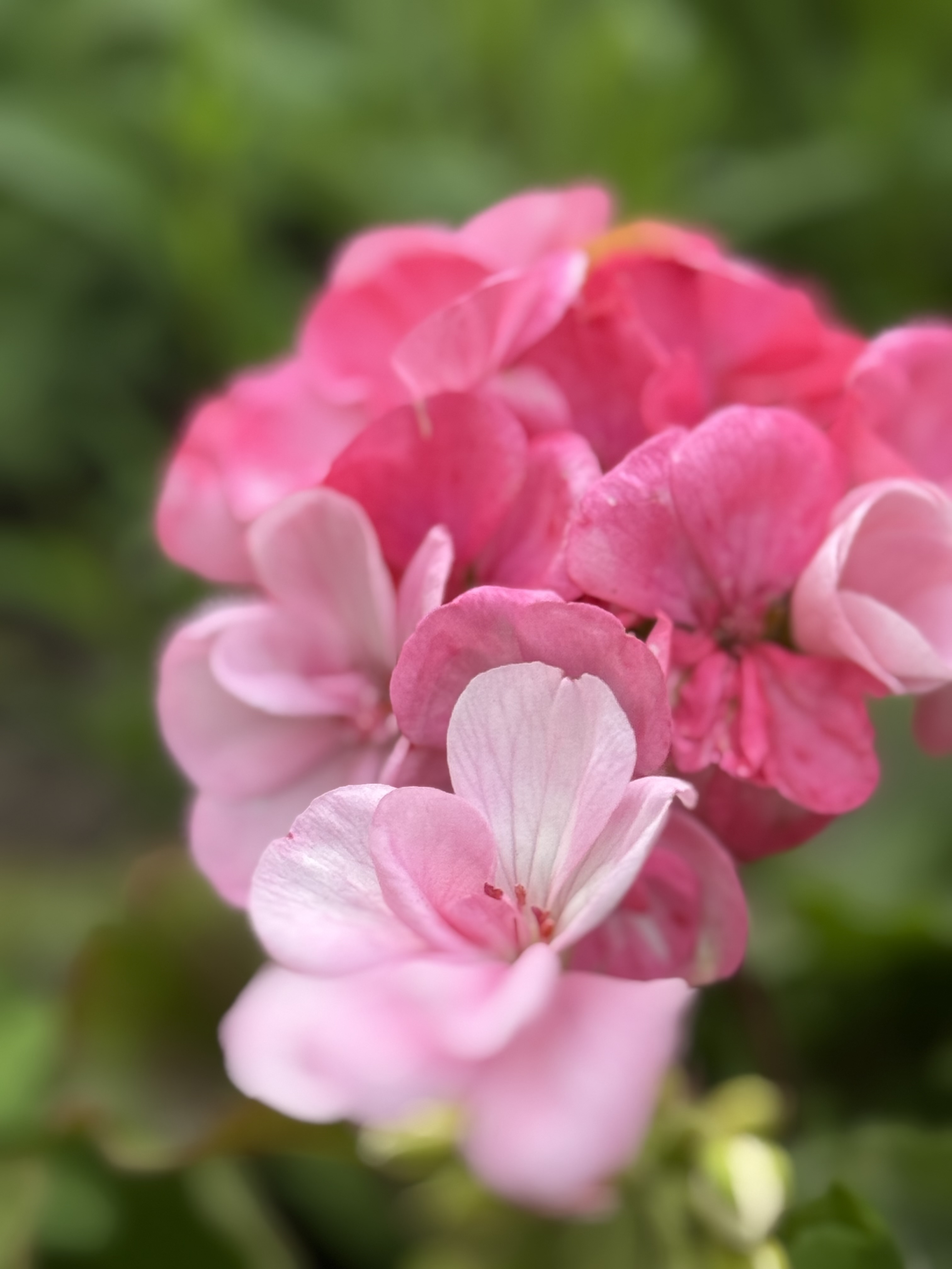 IMG_2804.jpeg