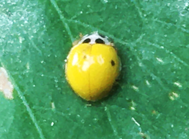 IMG_9359s.png