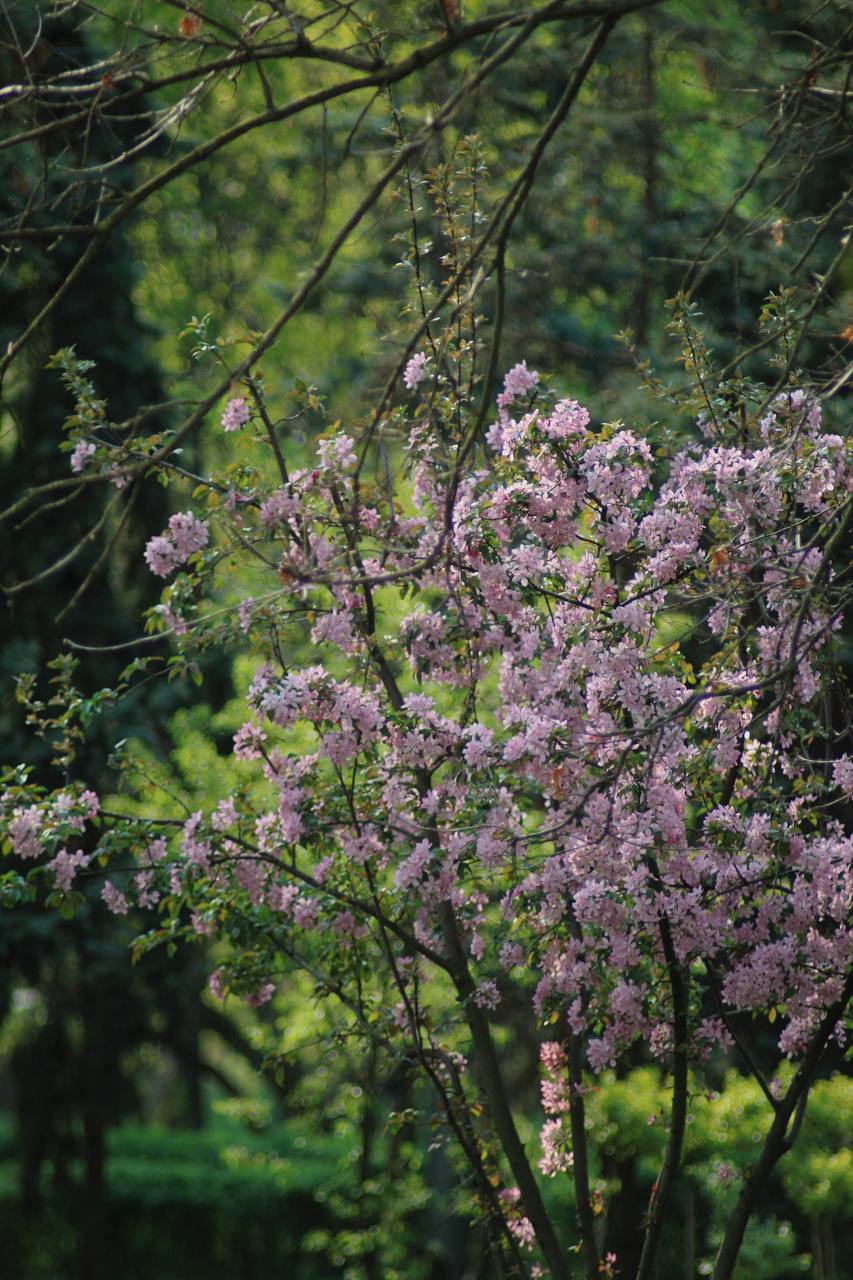 IMG_4712.jpeg