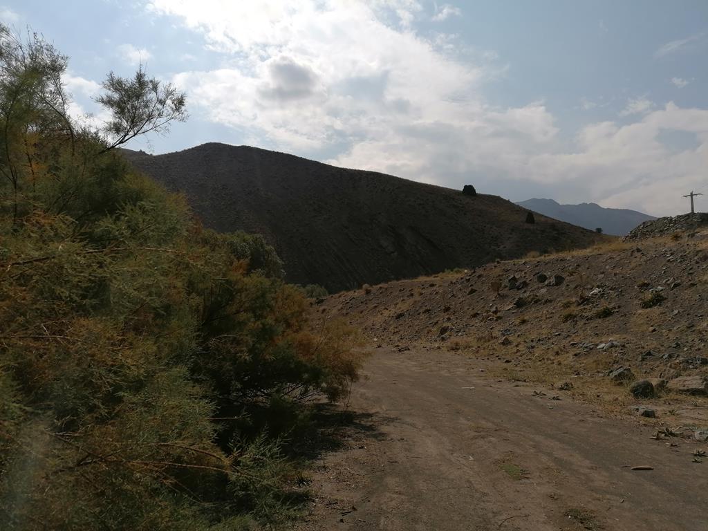 IMG_20231020_130039.jpg