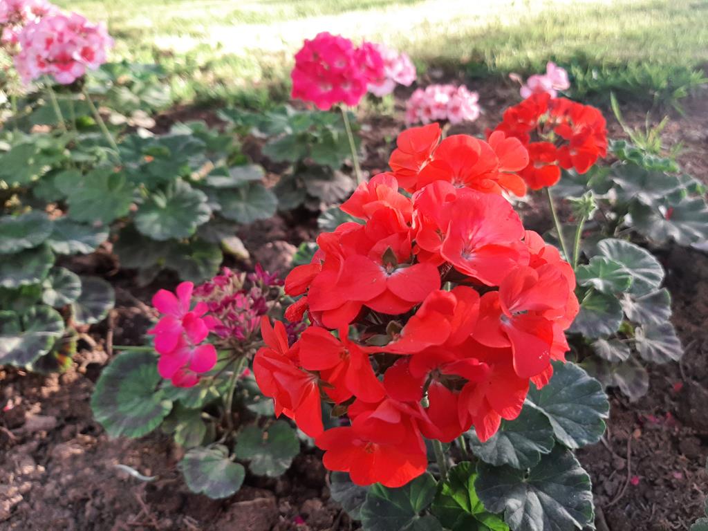 20250603_184401.jpg