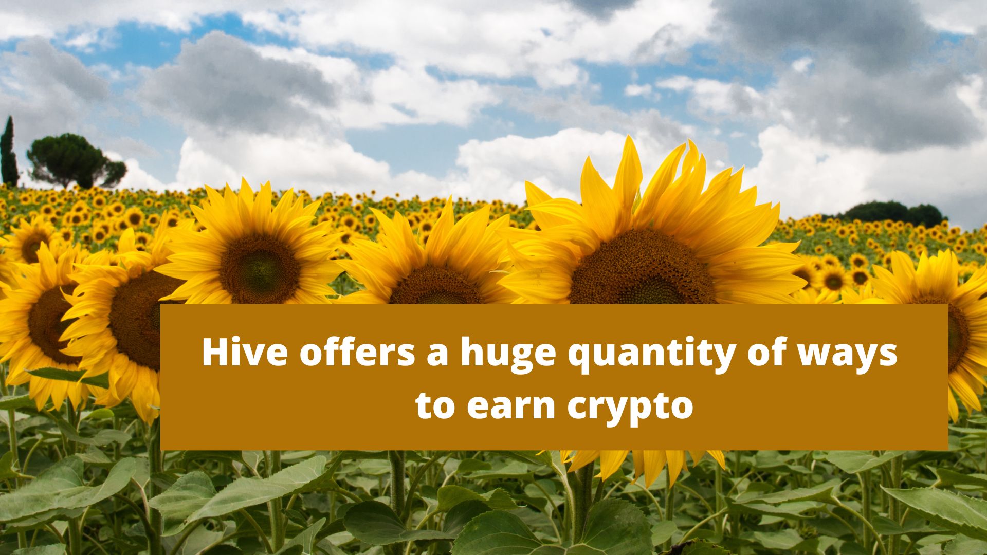 a huge quantity of ways to earn crypto.jpg