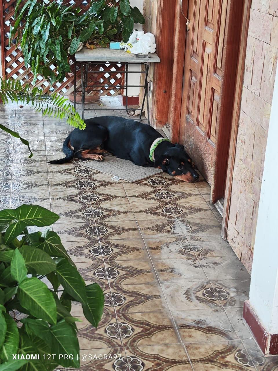 Sin título-3.jpg