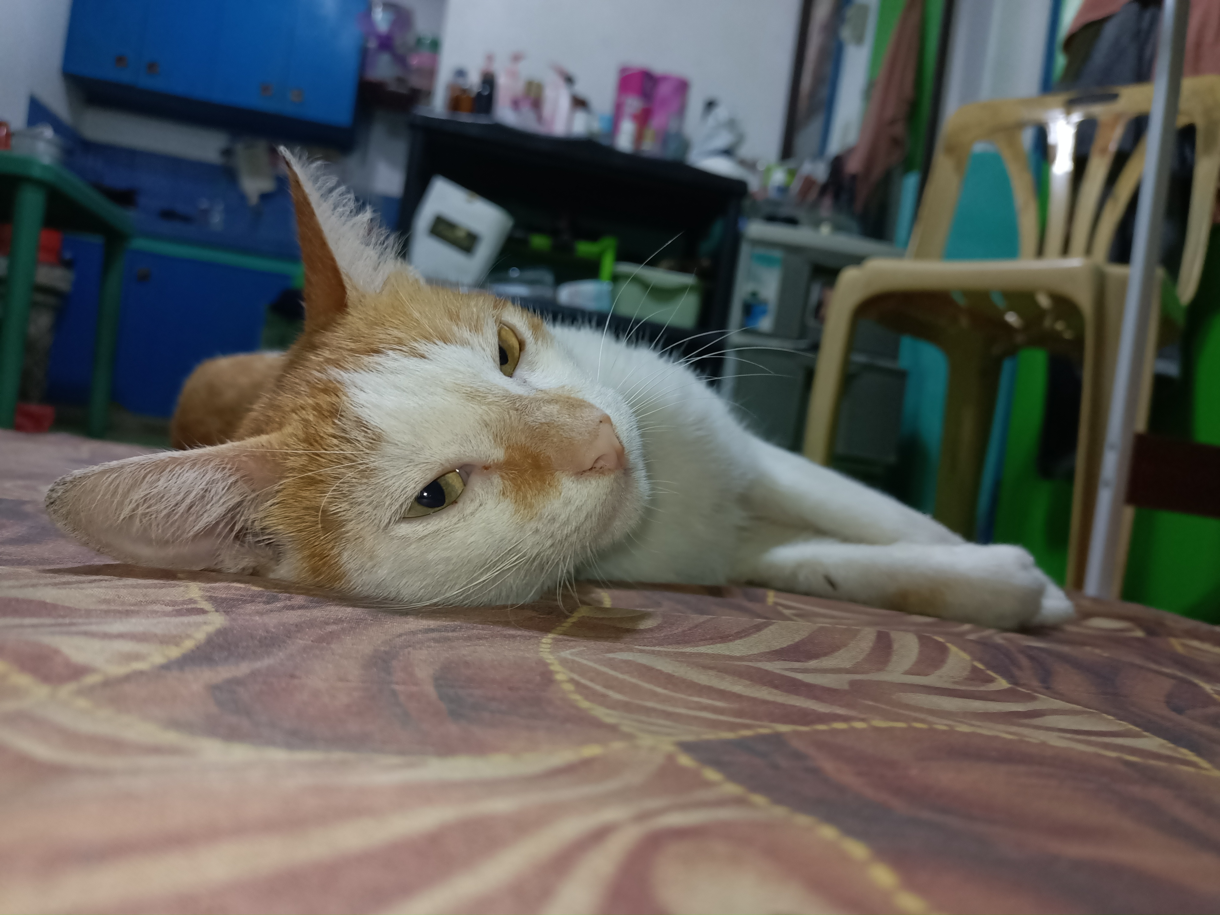 IMG20221014095725.jpg