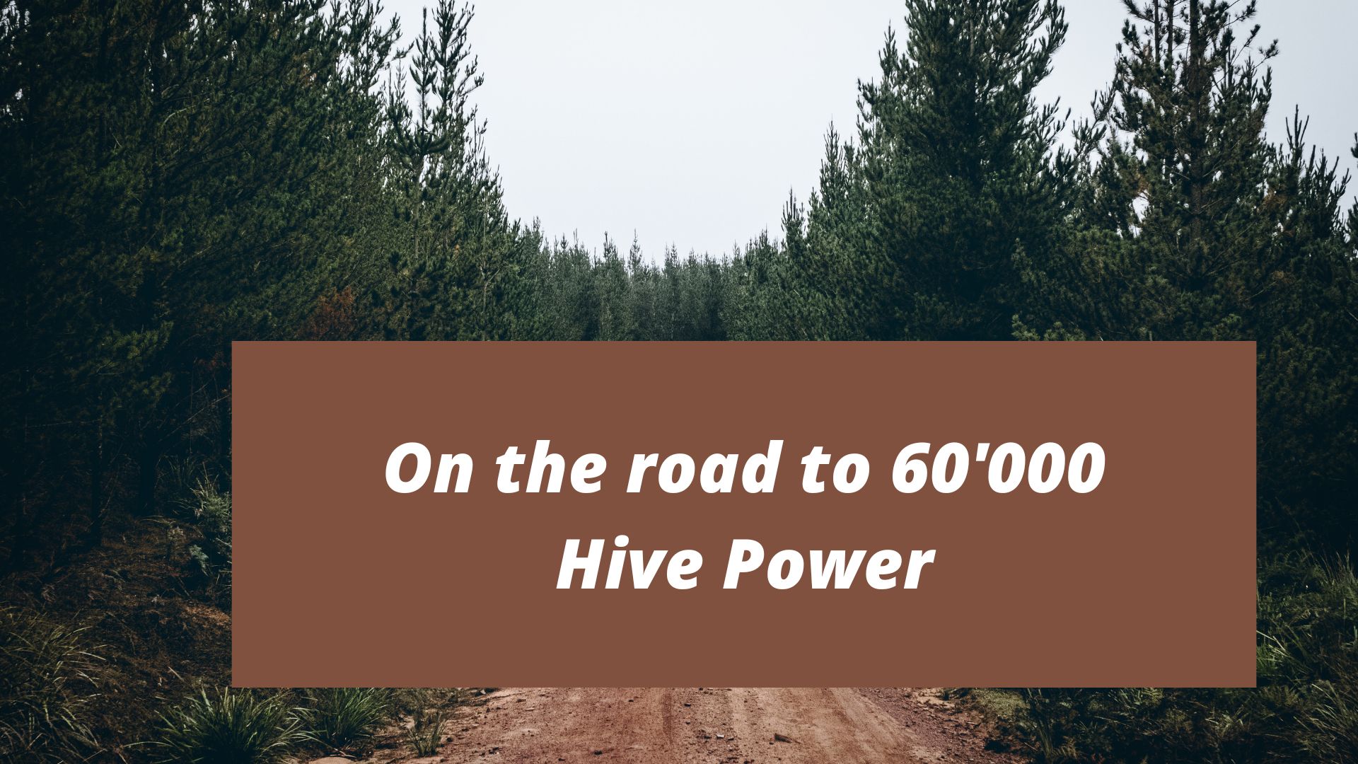 on the road to 60'000 hive power.jpg