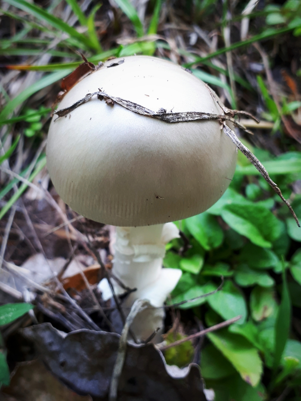 20220925_141054.jpg