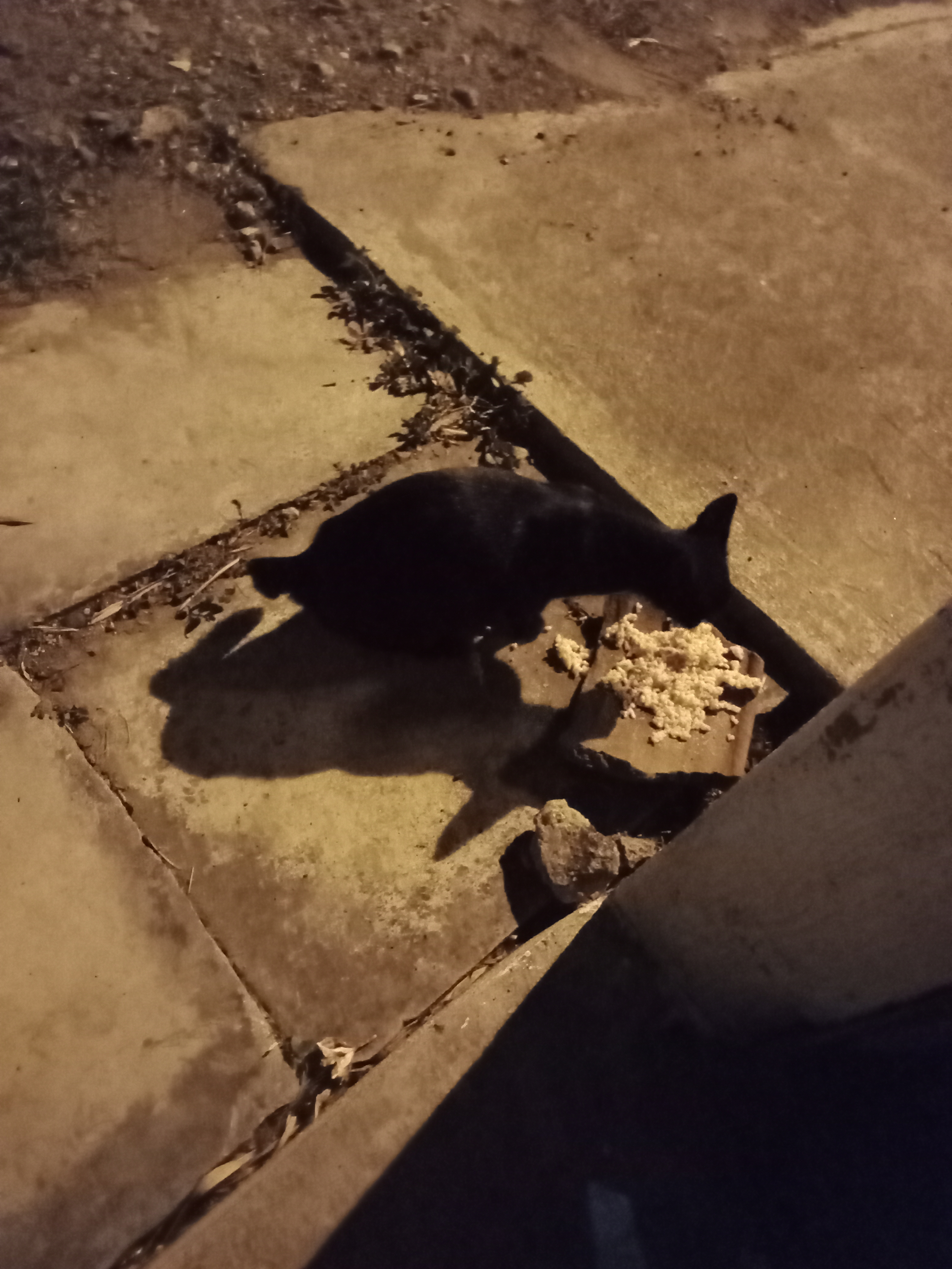 IMG20210502192307.jpg