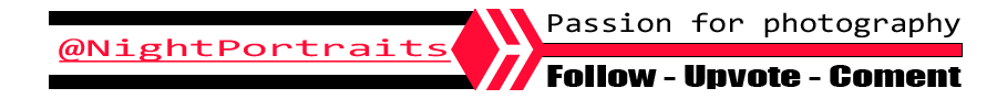 Logo hive separador.png