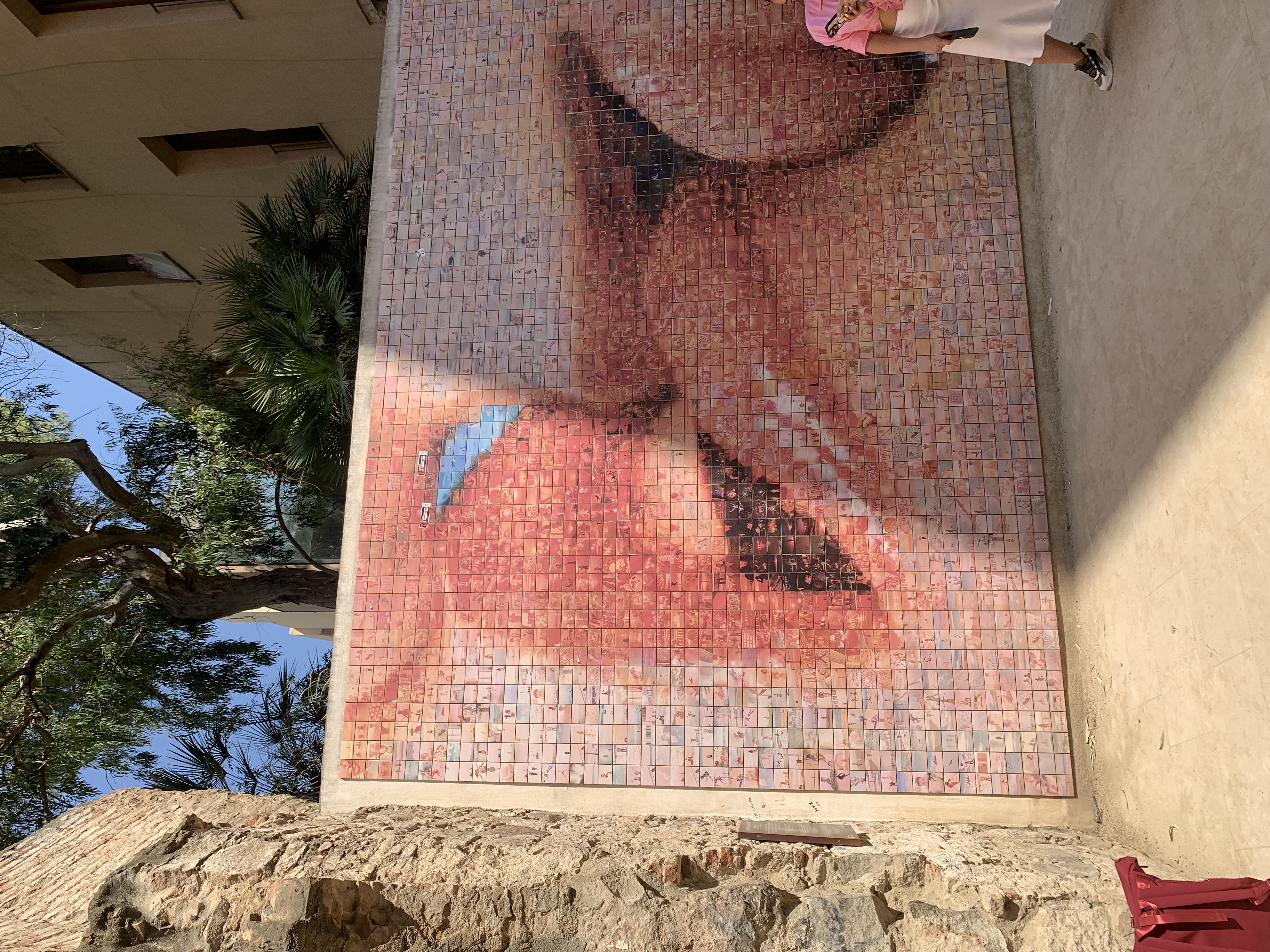 IMG_1919.jpeg