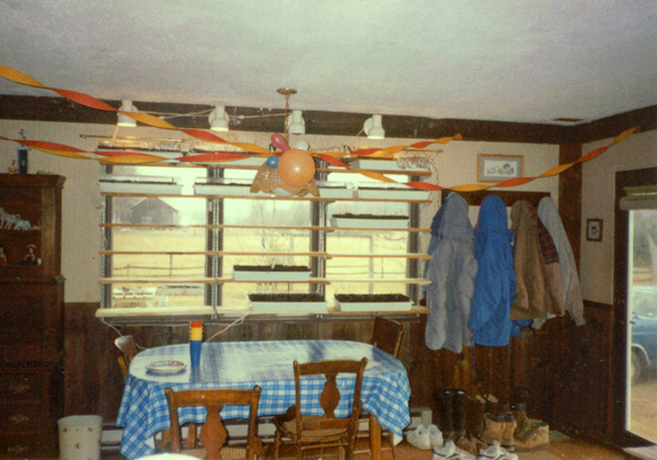 Kitchen1 crop May 98.jpg