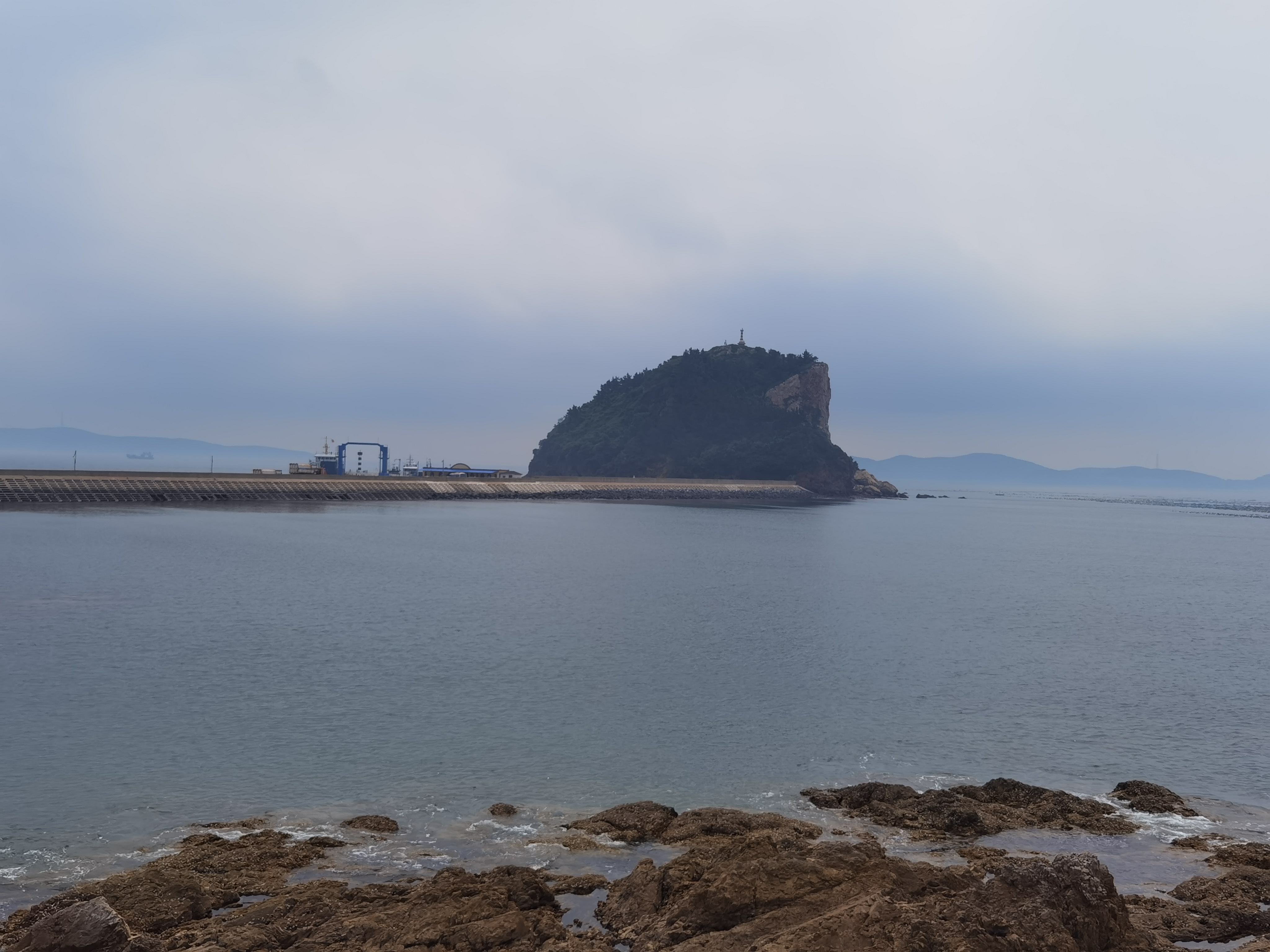金婵6.jpg