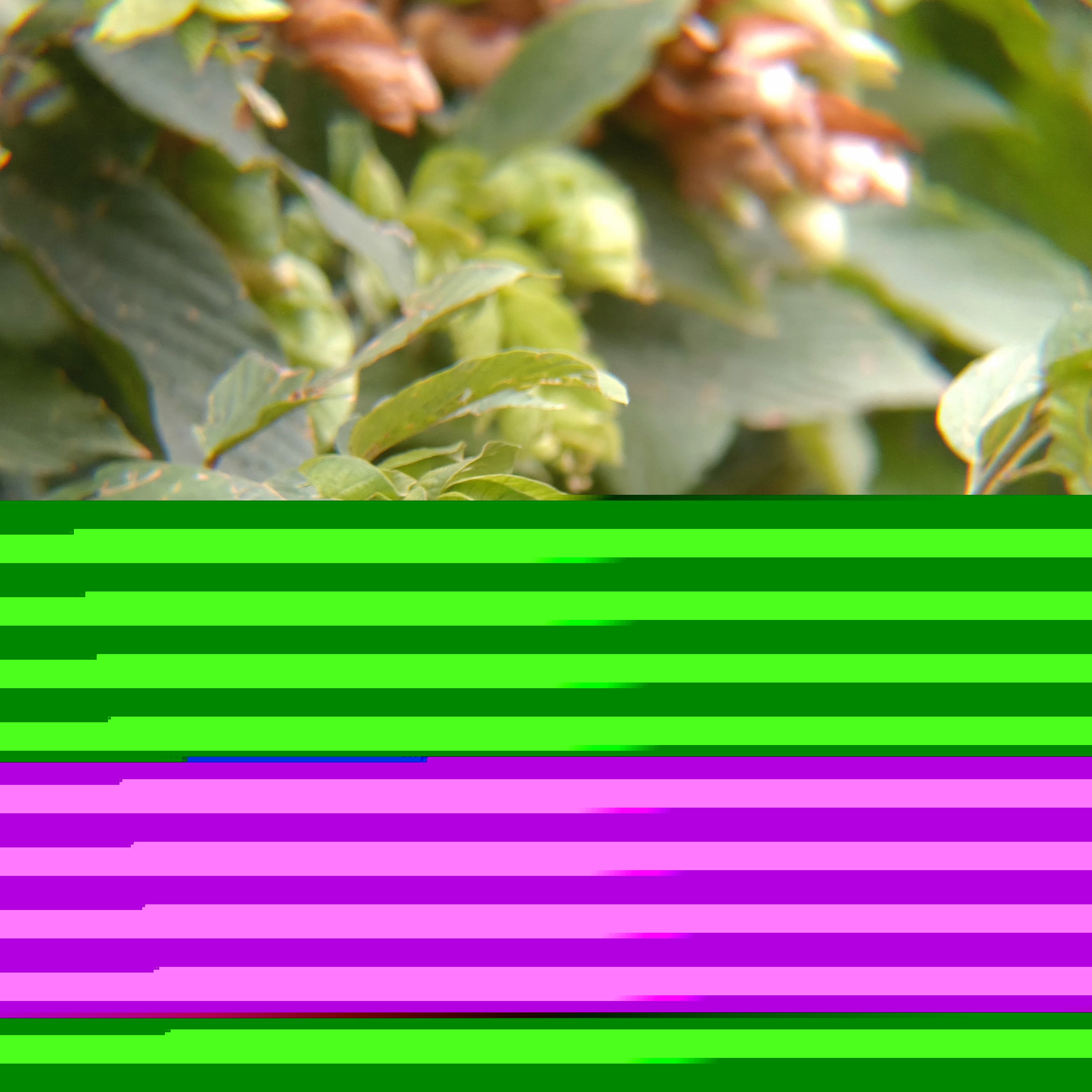 1753813265748.jpg