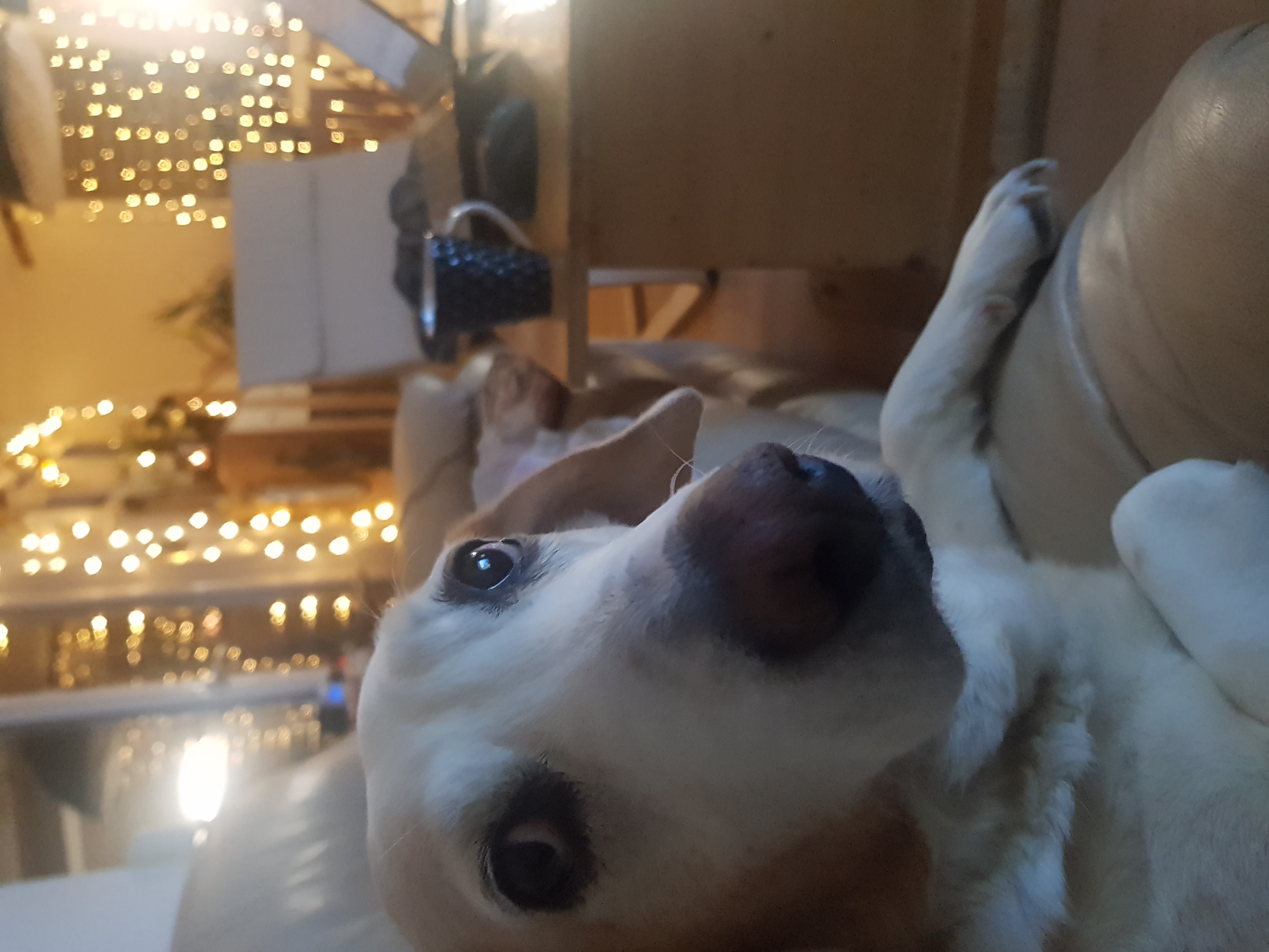 808D91AE-6530-4AD1-B4D7-F6429C291E93.jpeg