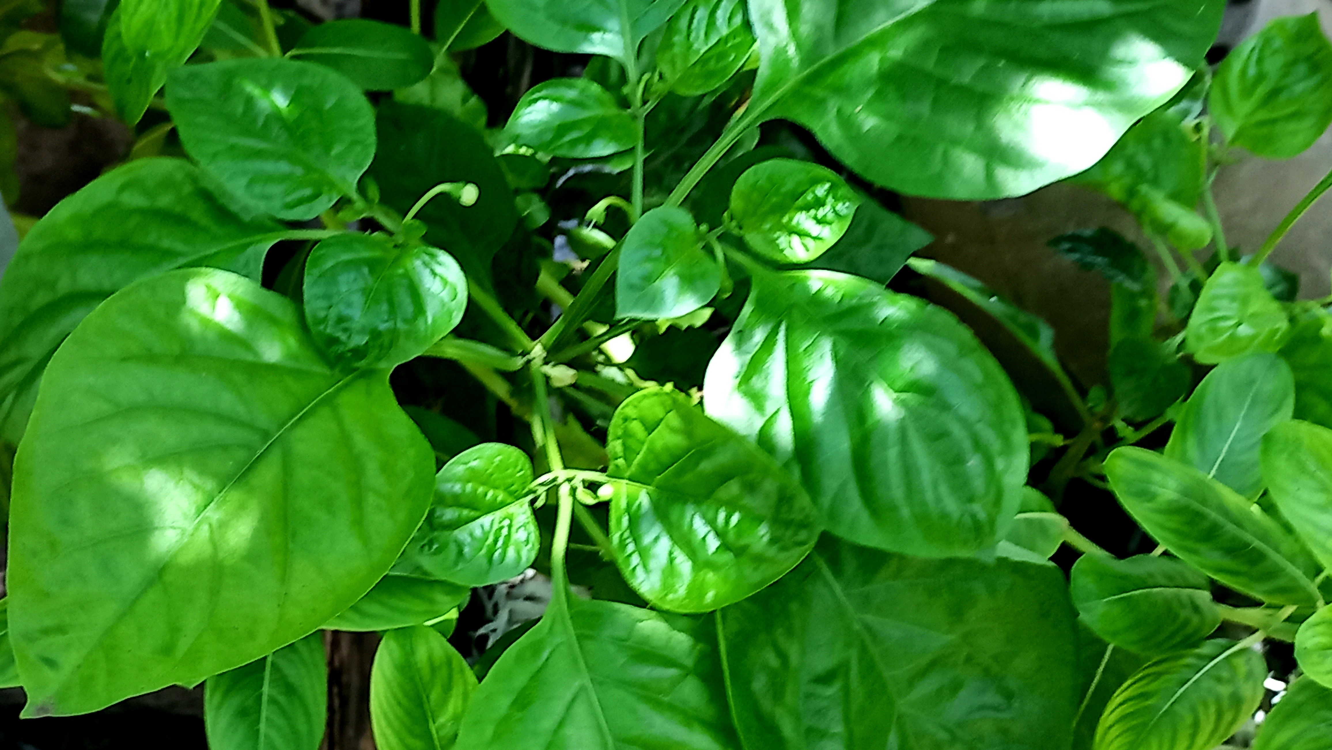 20250622_123403.jpg