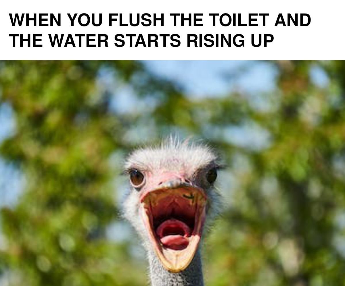 LoL When you flush the toilet and the water starts risinc - iFunny Brazil