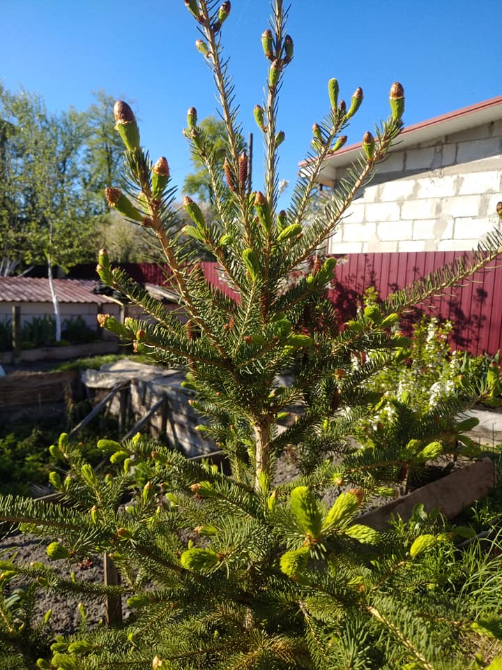 070258DA-8C64-4214-8CEA-E77609FA60AC.jpeg