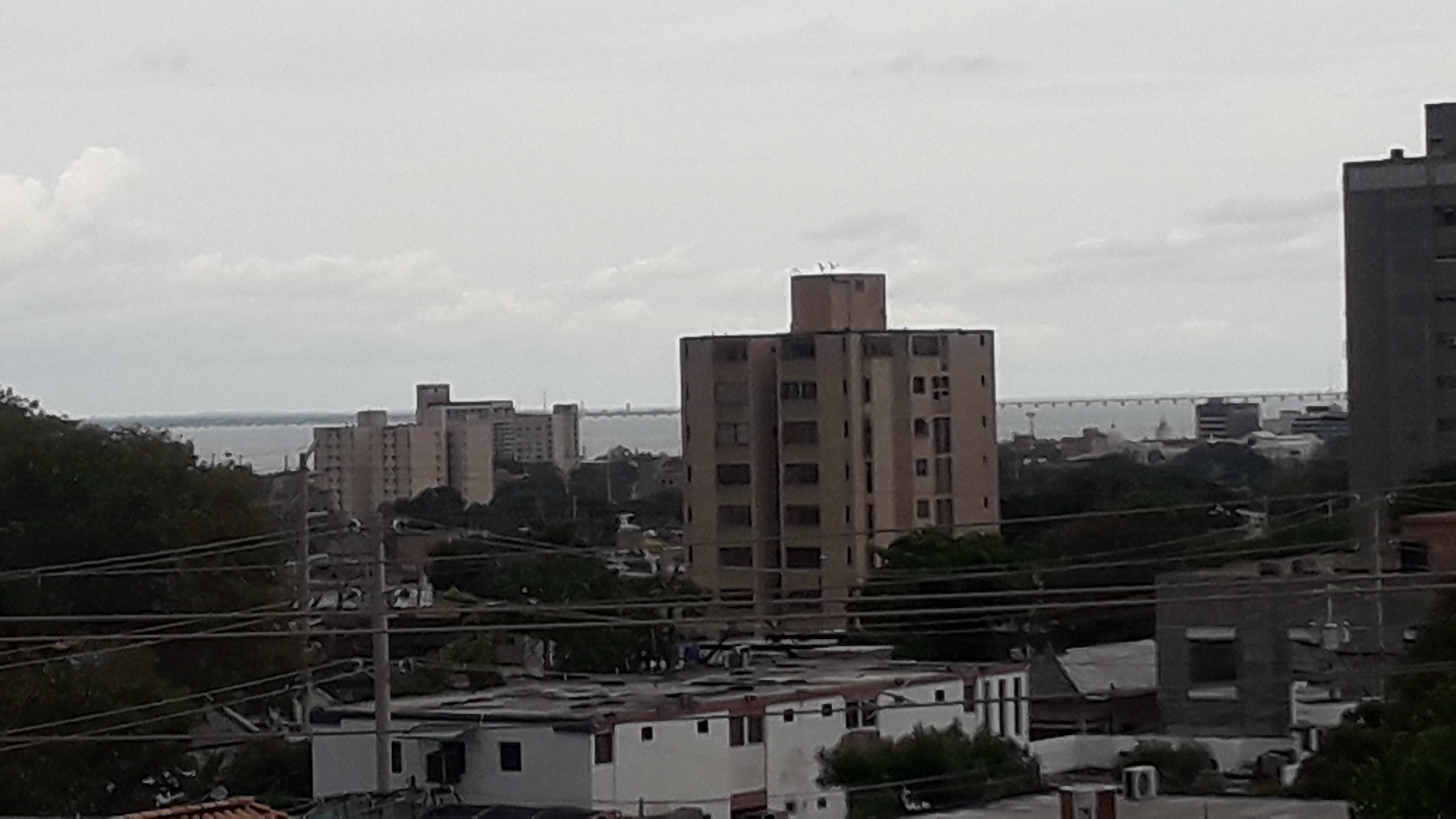 20210814_142210.jpg