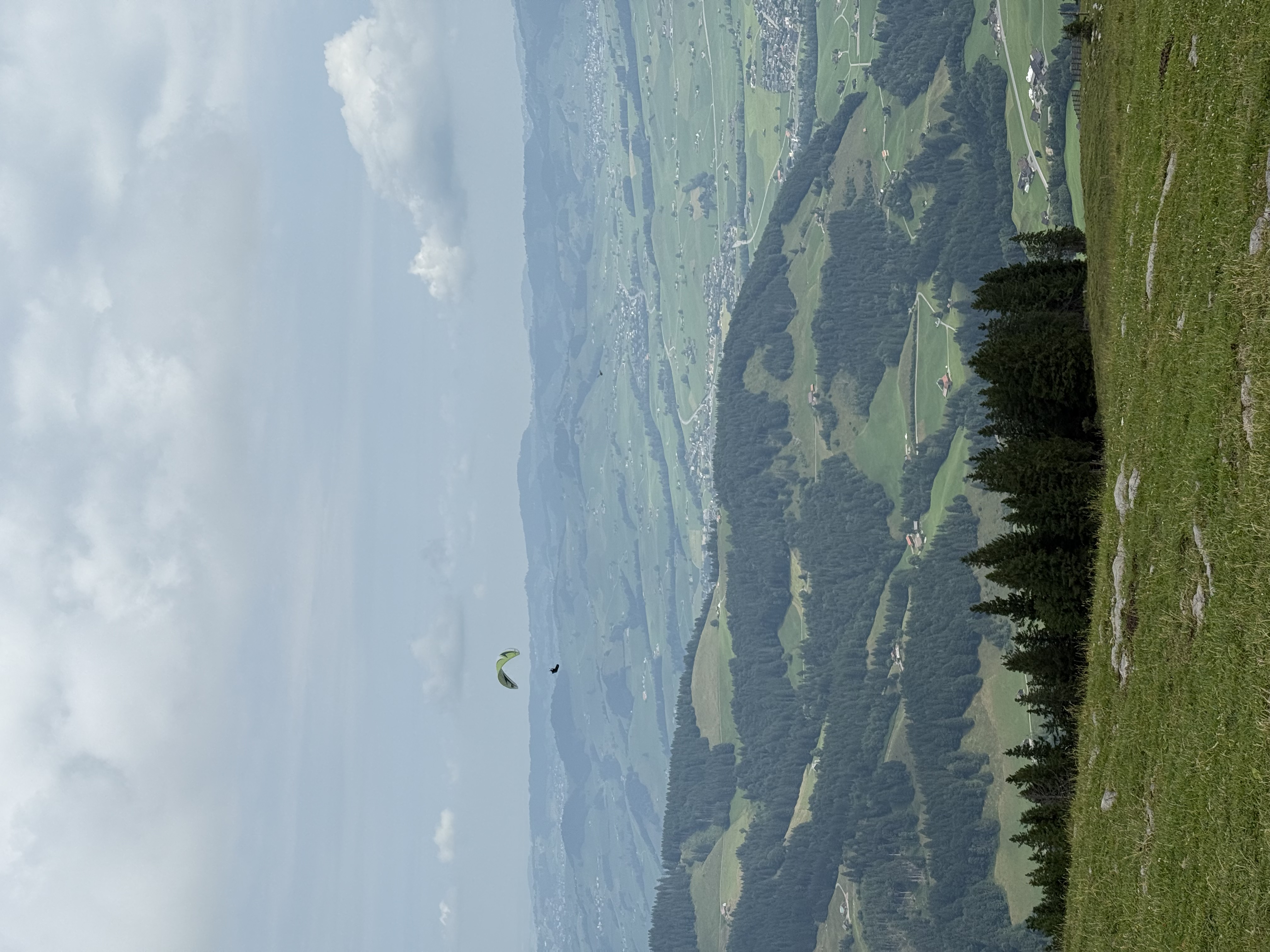 IMG_5262.jpeg