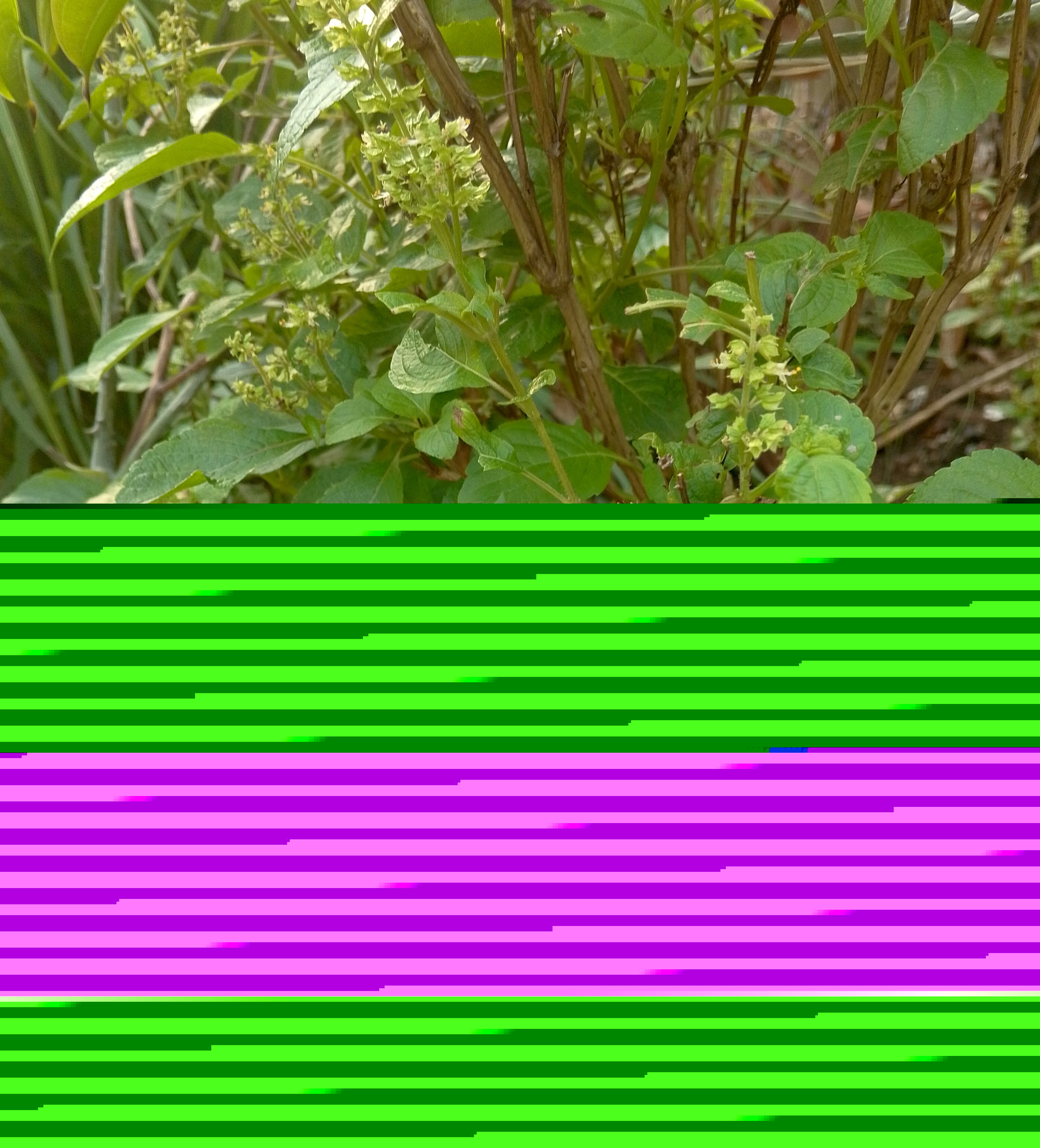 1744842921272.jpg