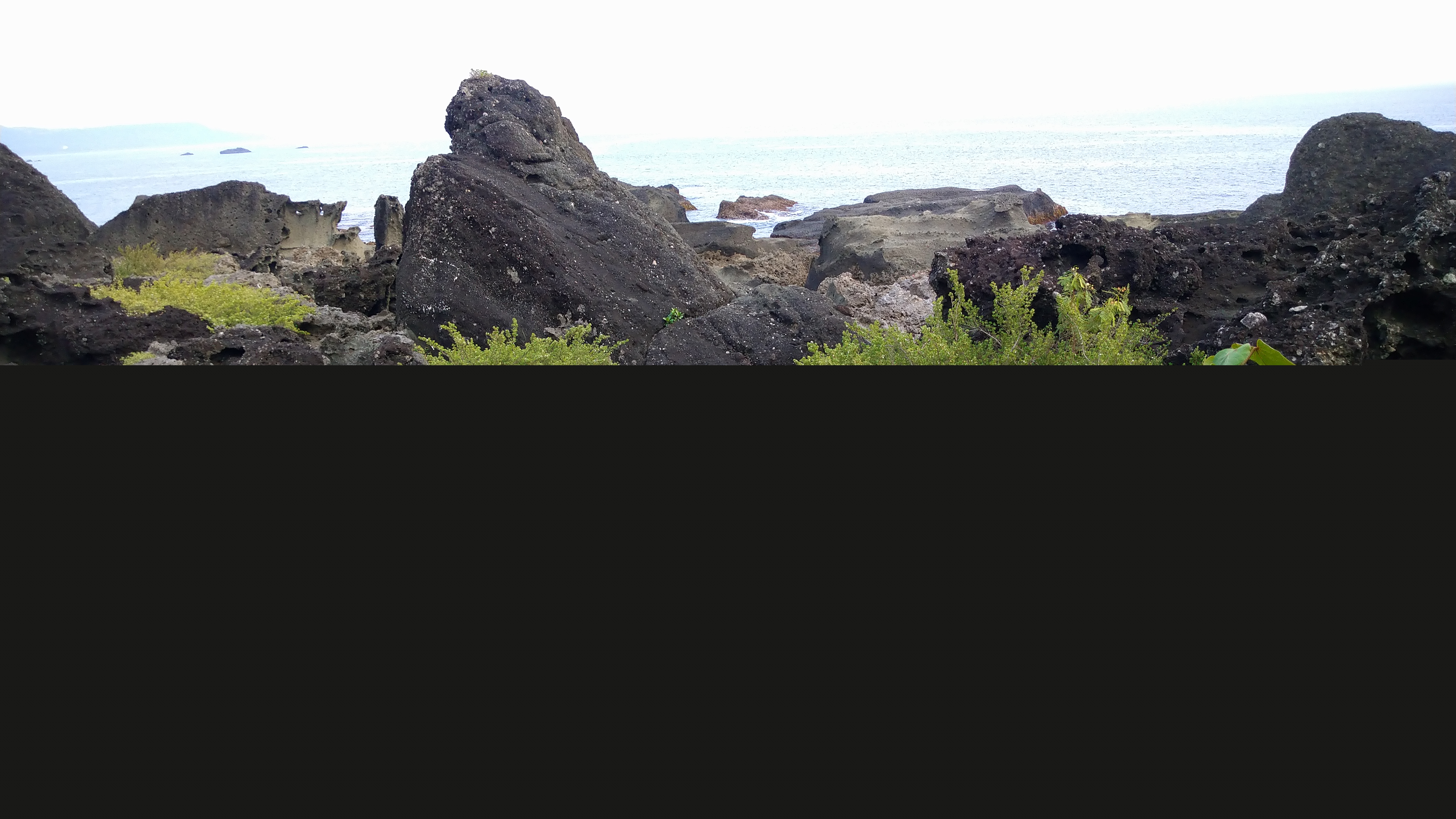 DSC_8008.JPG