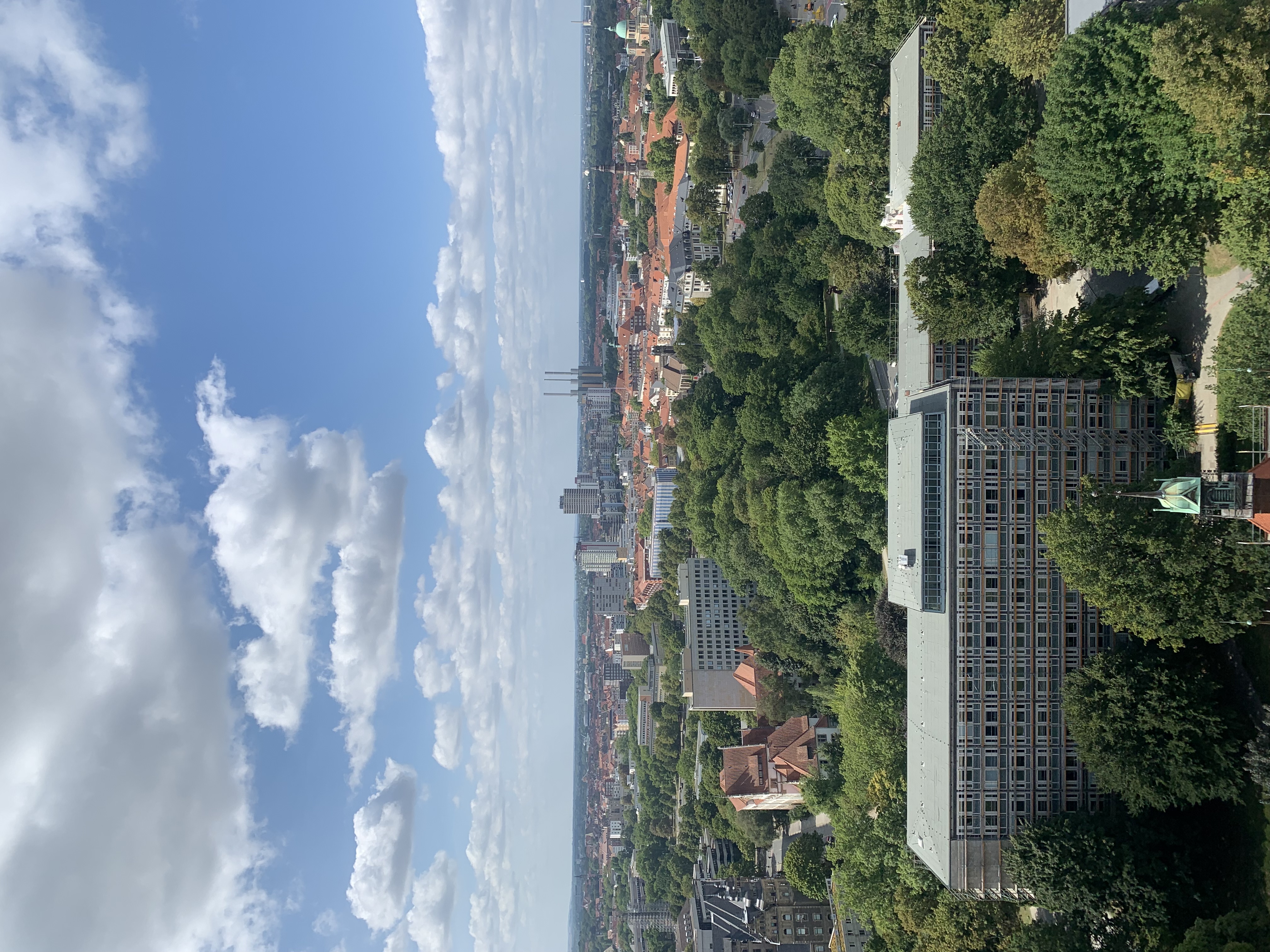 IMG_2224.jpeg