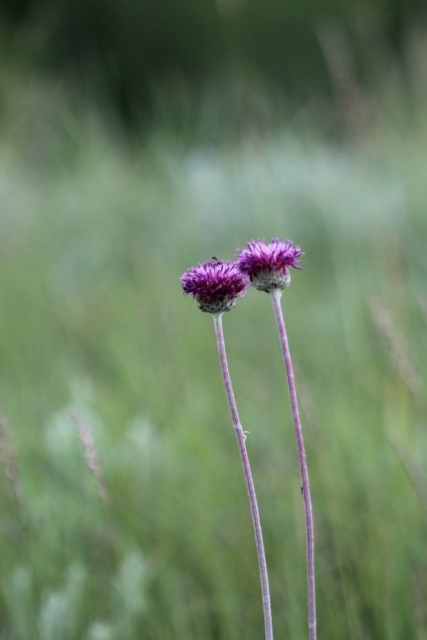 IMG_5080.jpeg