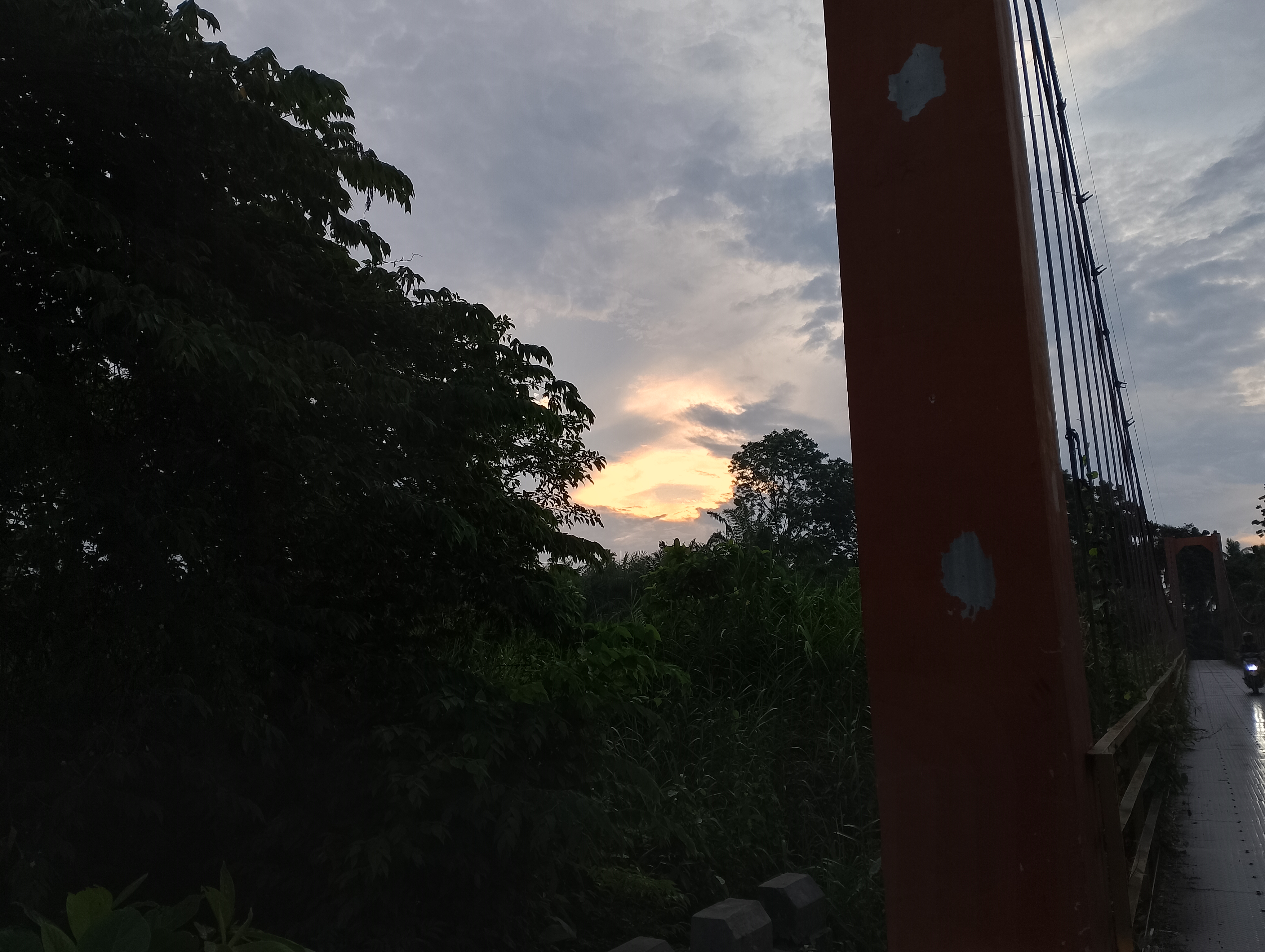 IMG_20250703_065247.jpg