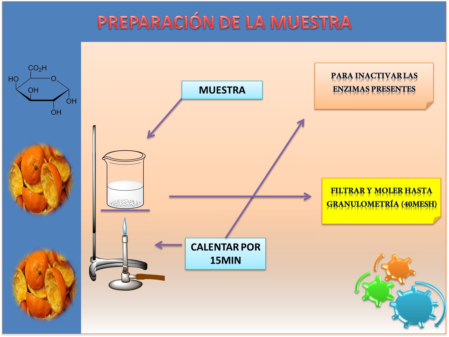 PREPARACIÓN DE LA MUESTRA.png