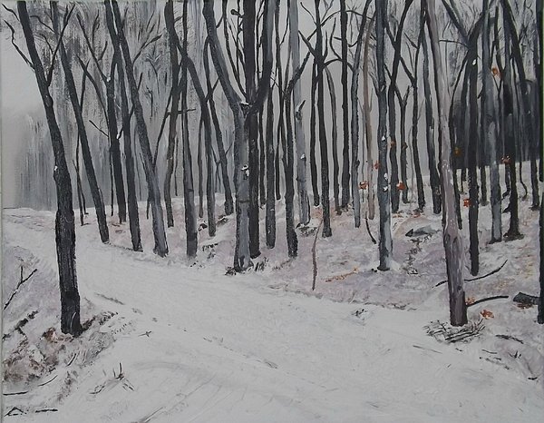 into-the-woods-denise-morgan.jpg