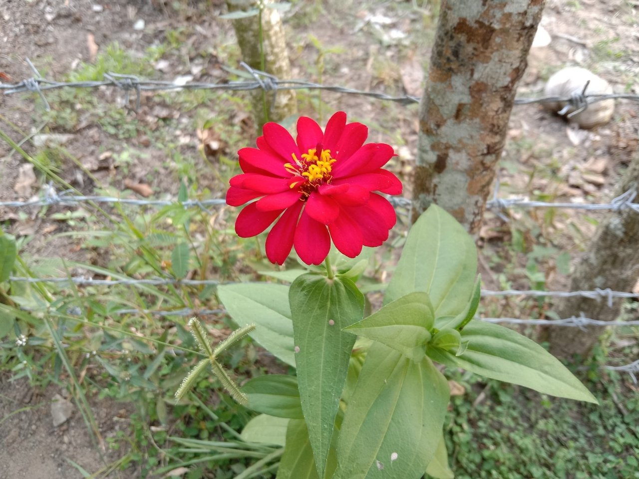 2FFvzA2zeqoVPgRCnRzbu6rj6tCWHWVCA9ZaKB4ZqsVGHPSkS4MhnhLxWkmuf4VrPpPir5zBBRoWWBA9TmusTiAv5UgPY3crxq1558ECuweBjnTN1tSJdLXjLWVeW.jpeg