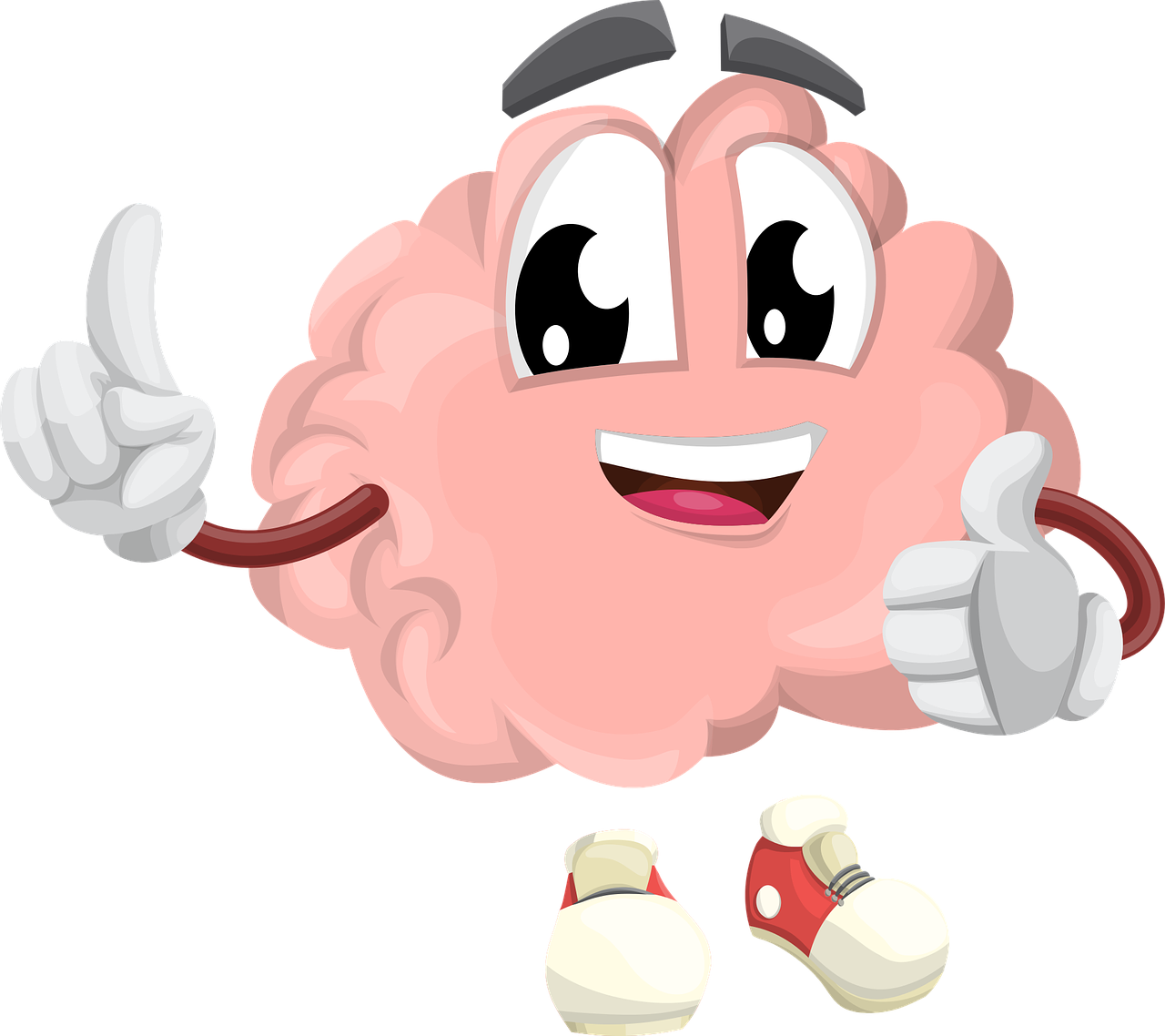 brain