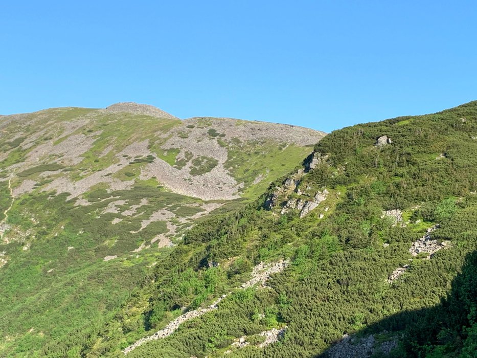 Babia Góra widziana ze szlaku na Przełęcz Brona