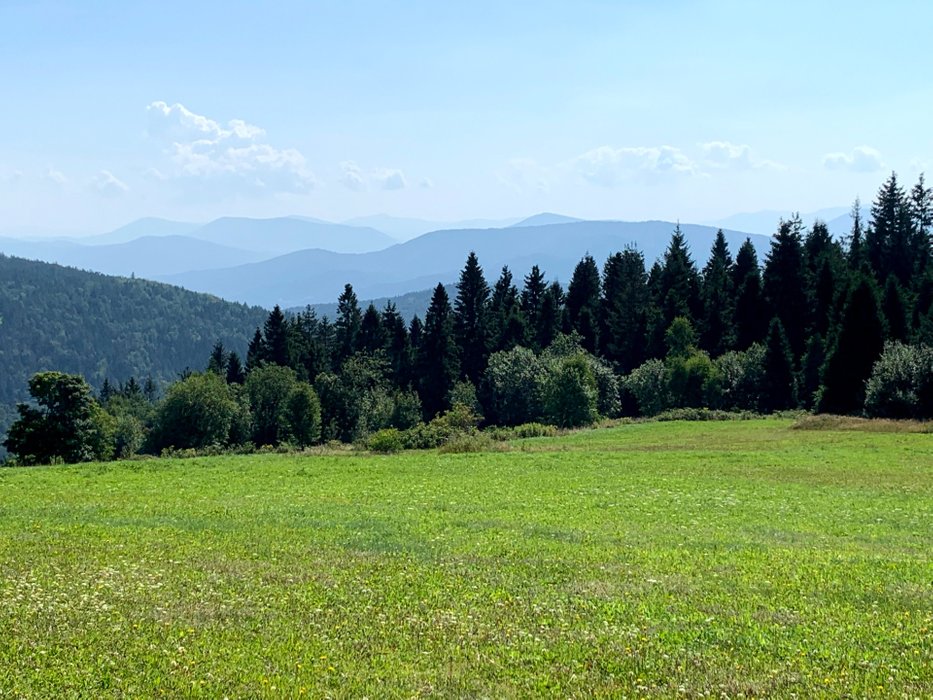 Widok z Koskowej Góry (sierpień 2021)