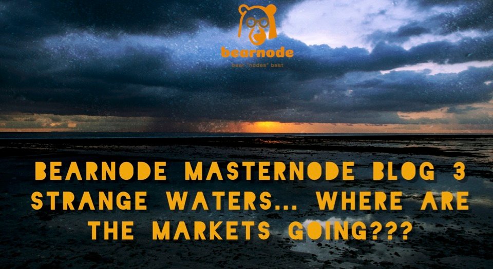 bear node cover with logo jpg.jpg